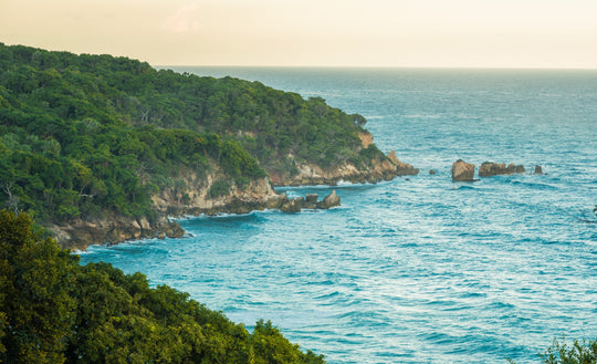 Larimar: A Special Treasure Hidden in The Caribbean.